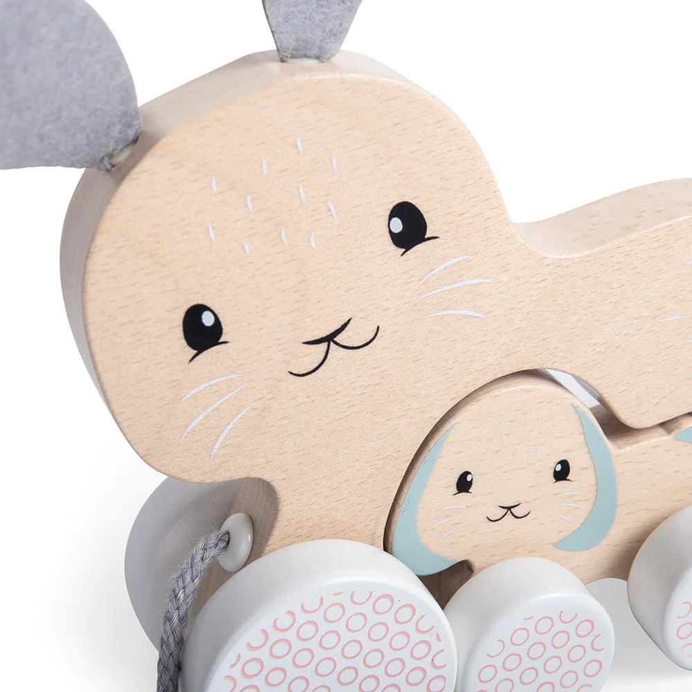Bunny & Baby Pull Along-35029-Bigjigs-LittleShop Toys