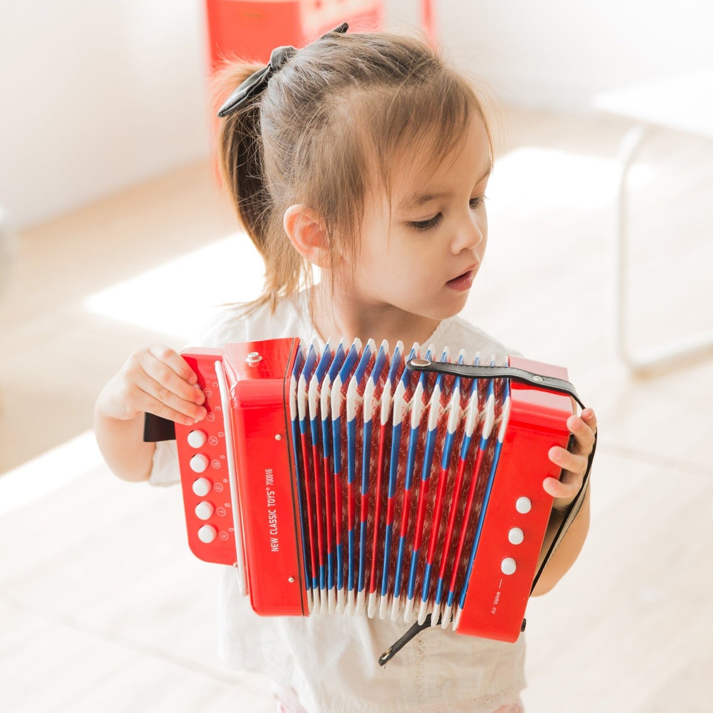 Classic Accordion - ACDN - Schylling - LittleShop Toys