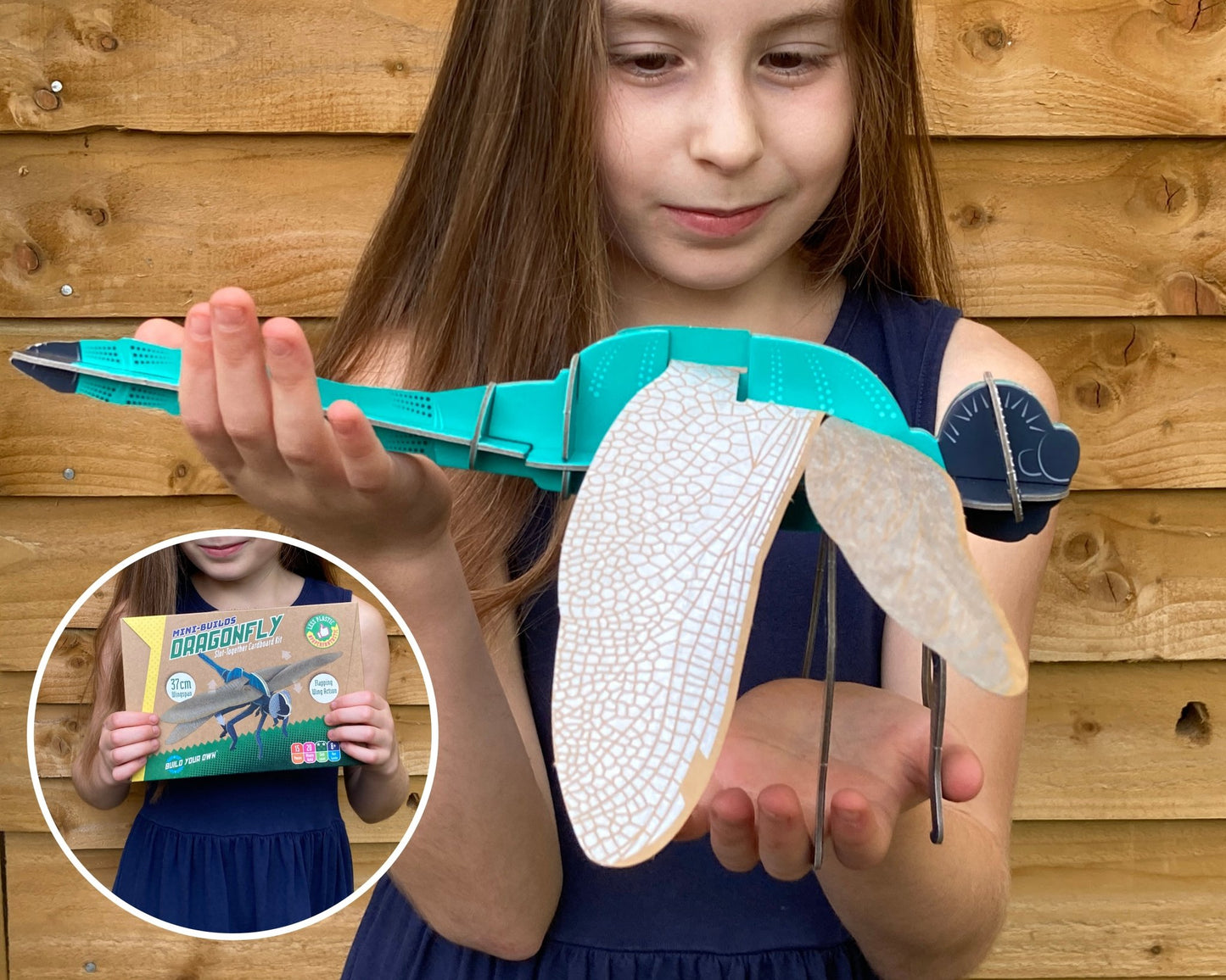 STEM Build - Dragonfly with Moving Mechanisms - BYOMB 004