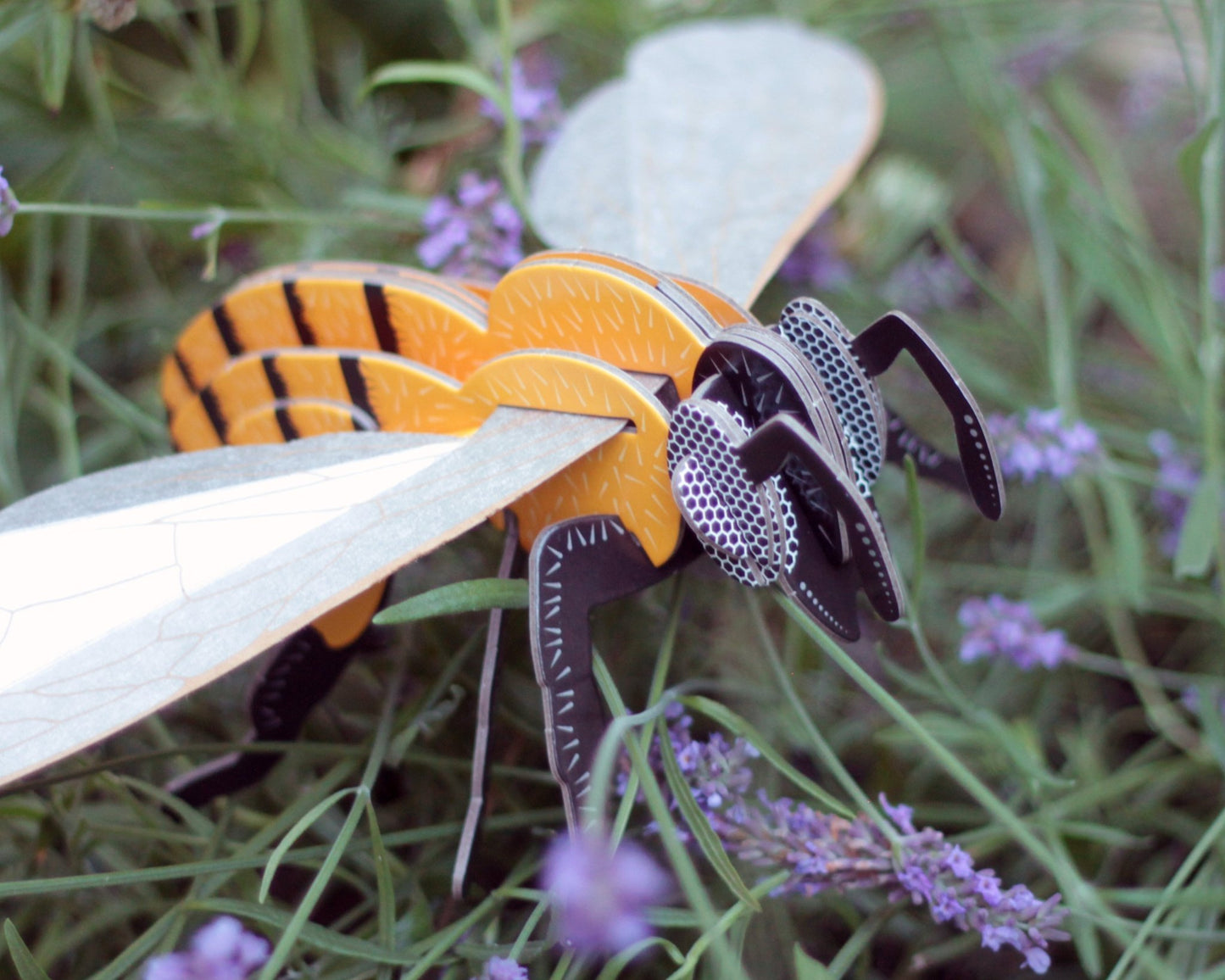 STEM Build - Honey Bee with Moving Mechanisms - BYOMB 001