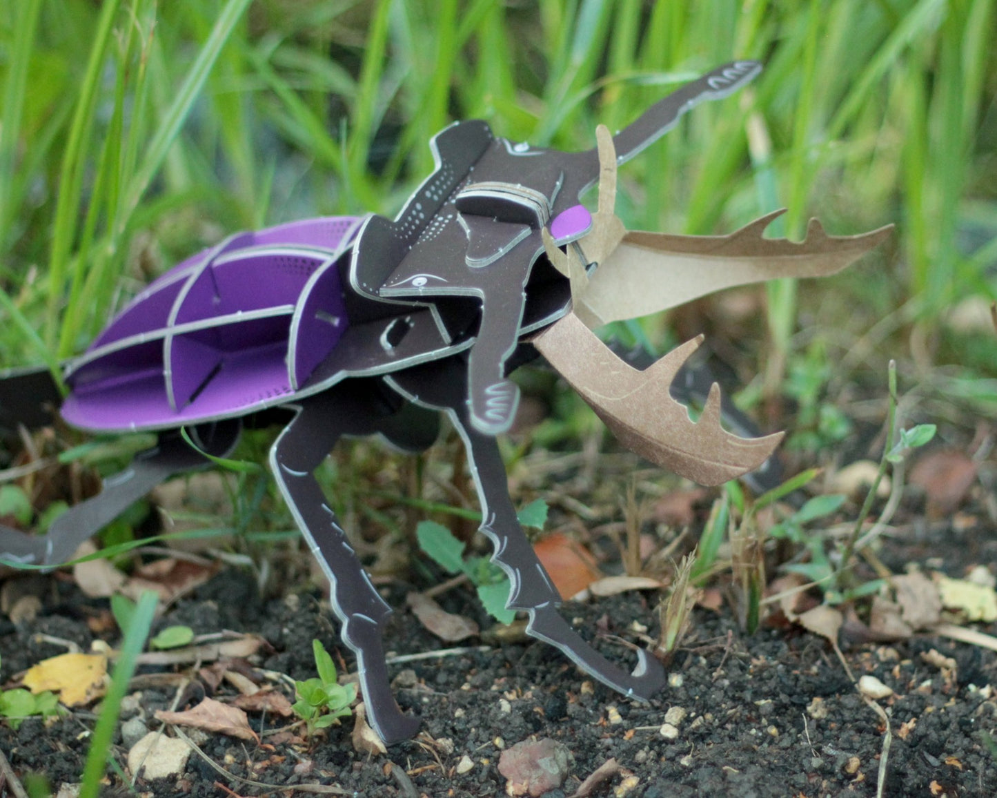 STEM Build - Stag Beetle with Moving Mechanisms - BYOMB 003