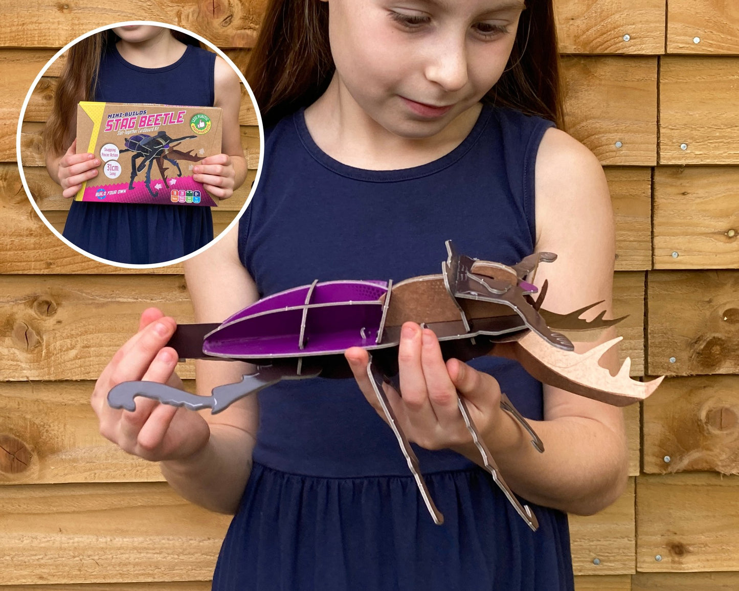 STEM Build - Stag Beetle with Moving Mechanisms - BYOMB 003