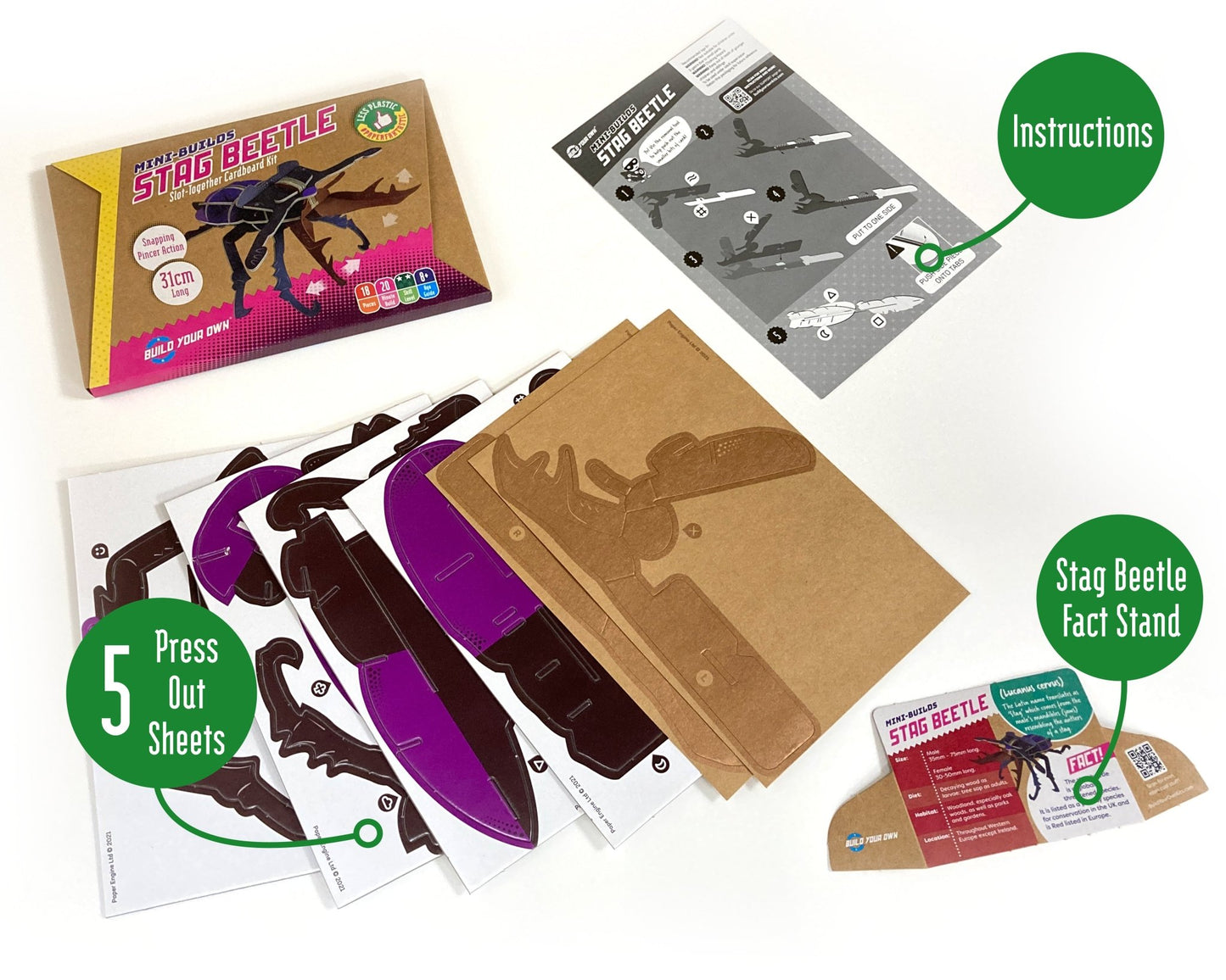 STEM Build - Stag Beetle with Moving Mechanisms - BYOMB 003