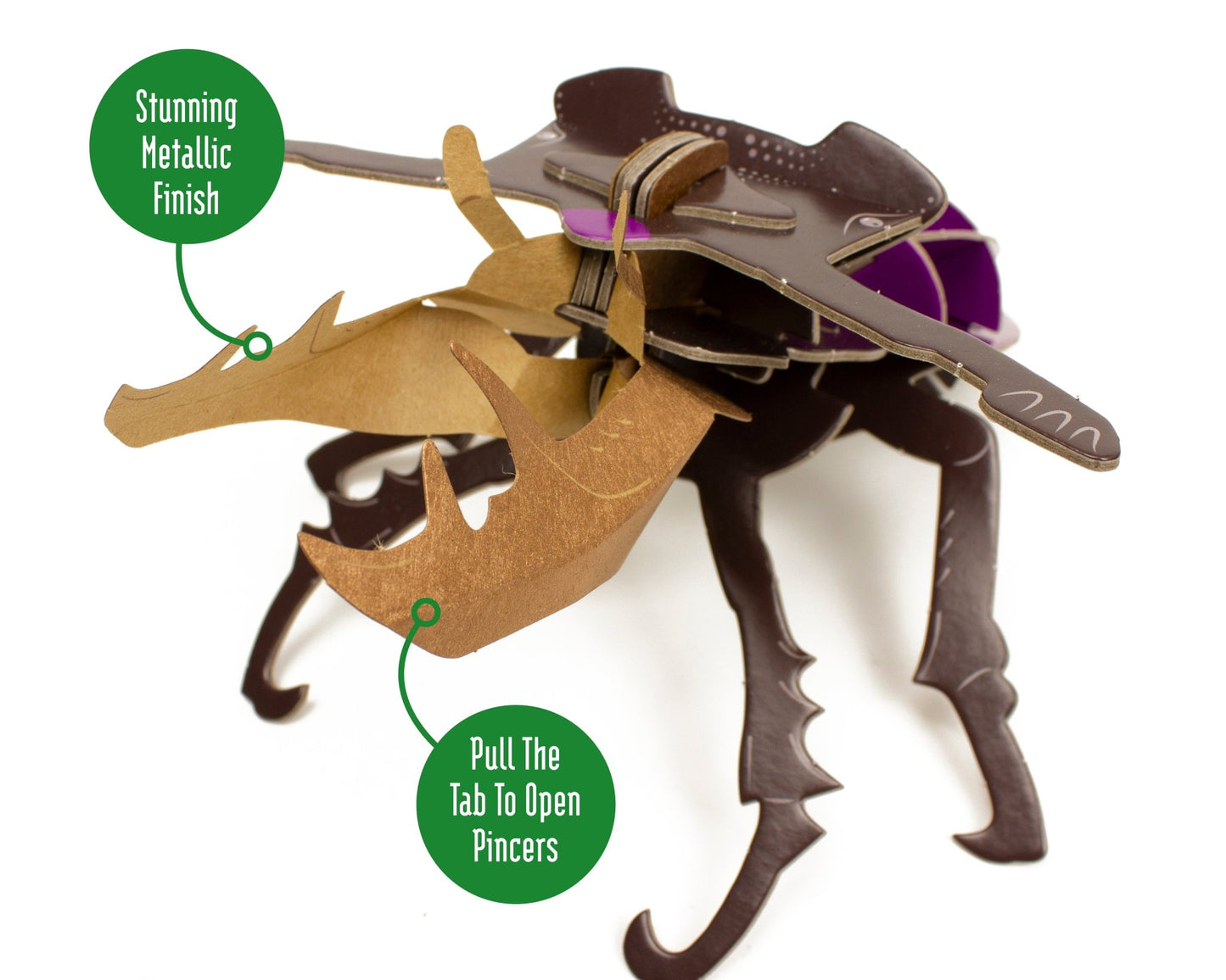 STEM Build - Stag Beetle with Moving Mechanisms - BYOMB 003