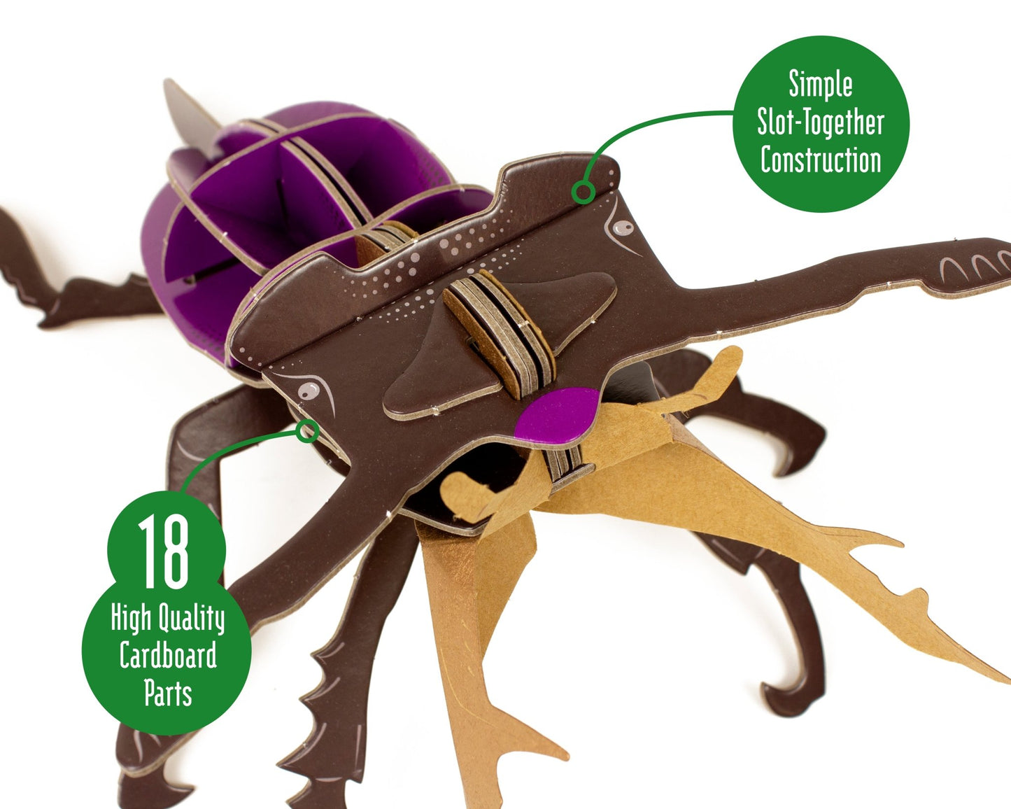 STEM Build - Stag Beetle with Moving Mechanisms - BYOMB 003