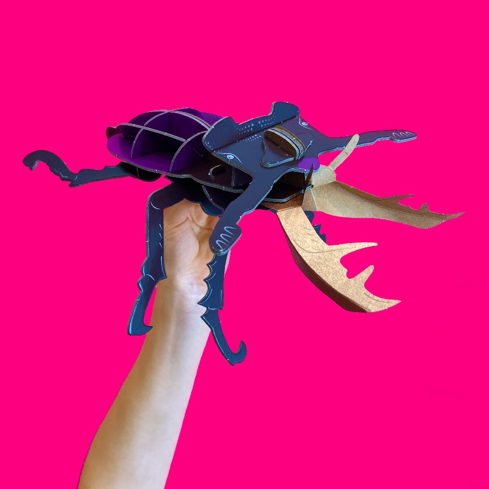 STEM Build - Stag Beetle with Moving Mechanisms - BYOMB 003